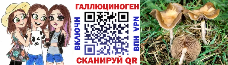 Псилоцибиновые грибы MAGIC MUSHROOMS  Сегежа 