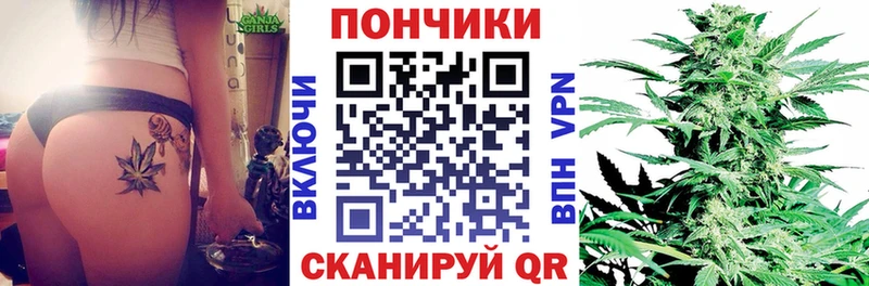 Бошки Шишки MAZAR  купить   Сегежа 
